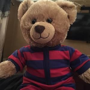 Meet your Posher, Lucy